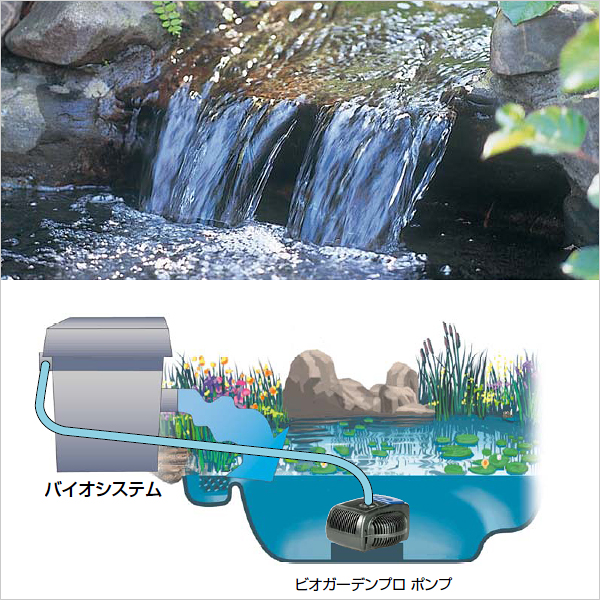 池の水浄化 水質浄化 水の浄化.ため池の浄化 アオコ対策.水質浄化 銅 