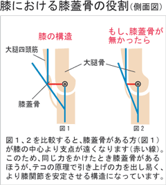 ウォークアップニー