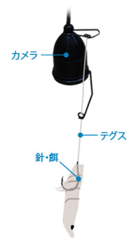 釣竿型水中カメラ　ビッグキャッチ　カメラ