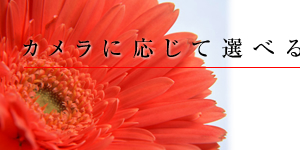 カメラに応じて選べるチューナー