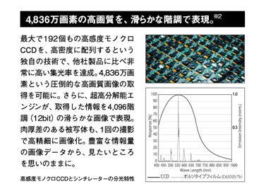 4,836万画素の高画質を、滑らかな階調で表現。※2
フィルムやCR（IP方式）のような、面倒な現像のプロセスや、IPを読み込むわずらわしさとは一切無縁。X線照射から画像表示まではわずか5秒。すぐに検査作業を開始できます。表示された画像は自動保存。連続撮影や撮り直しもスピーディかつスムーズに行えます。最大で192個もの高感度モノクロCCDを、高密度に配列するという独自の技術で、他社製品に比べ非常に高い集光率を達成。4,836万画素という圧倒的な高画質画像の取得を可能に。さらに、超高分解能エンジンが、取得した情報を4,096階調（12bit）の滑らかな画像で表現。肉厚差のある被写体も、1回の撮影で高精細に画像化。豊富な情報量の画像データから、見たいところを思いのままに。
高感度モノクロCCDとシンチレーターの分光特性