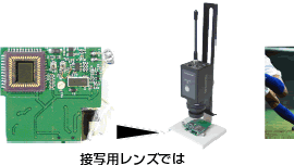 �ڎʗp�����Y