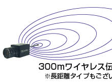 300m���C�����X�`��
