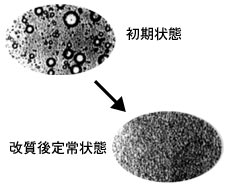 触媒の反応図