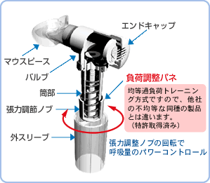 腹筋，背筋、ウェルネス、パワーブリーズ　