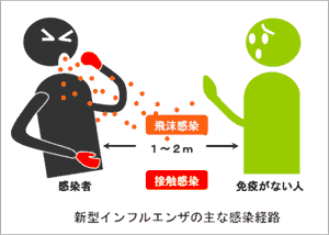 新型インフルエンザの主な感染経路