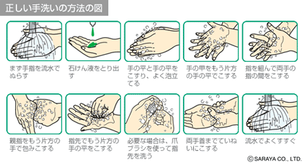 正しい手洗いの方法の図