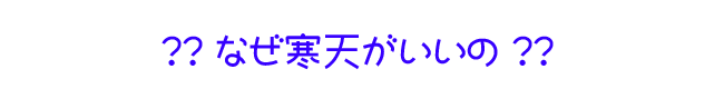 なぜ寒天がいいの？