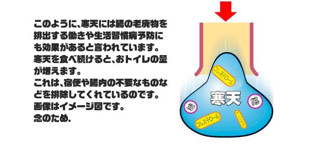 このように、寒天には腸の老廃物を排出する働きや生活習慣病予防にも効果があると言われています。寒天を食べ続けると、おトイレの量が増えます。これは宿便や町内の不要なものなどを排除してくれているのです。