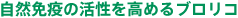 自然免疫の活性を高めるブロリコ