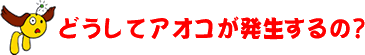 どうしてアオコがはっせいするの？